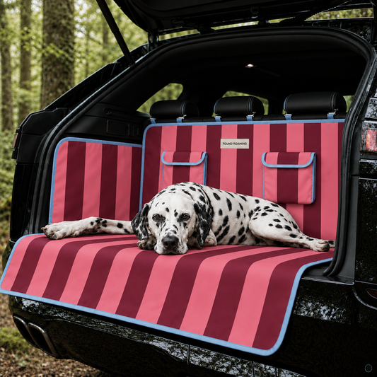 Roaming Stripe