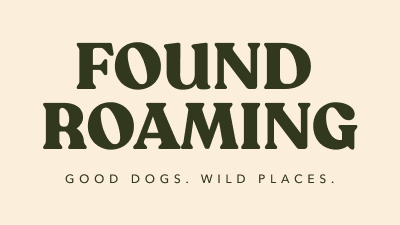 Found Roaming
